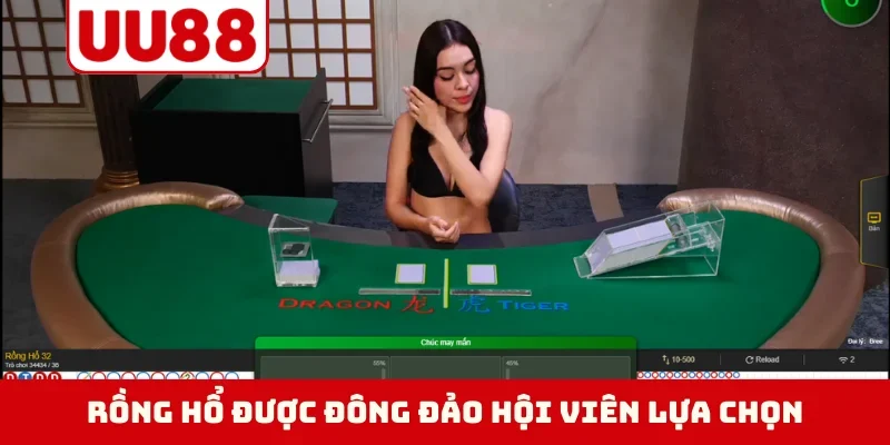 Rồng hổ được đông đảo hội viên lựa chọn