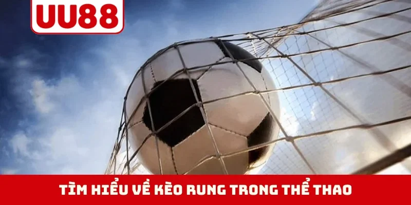 Tìm hiểu về kèo rung trong thể thao